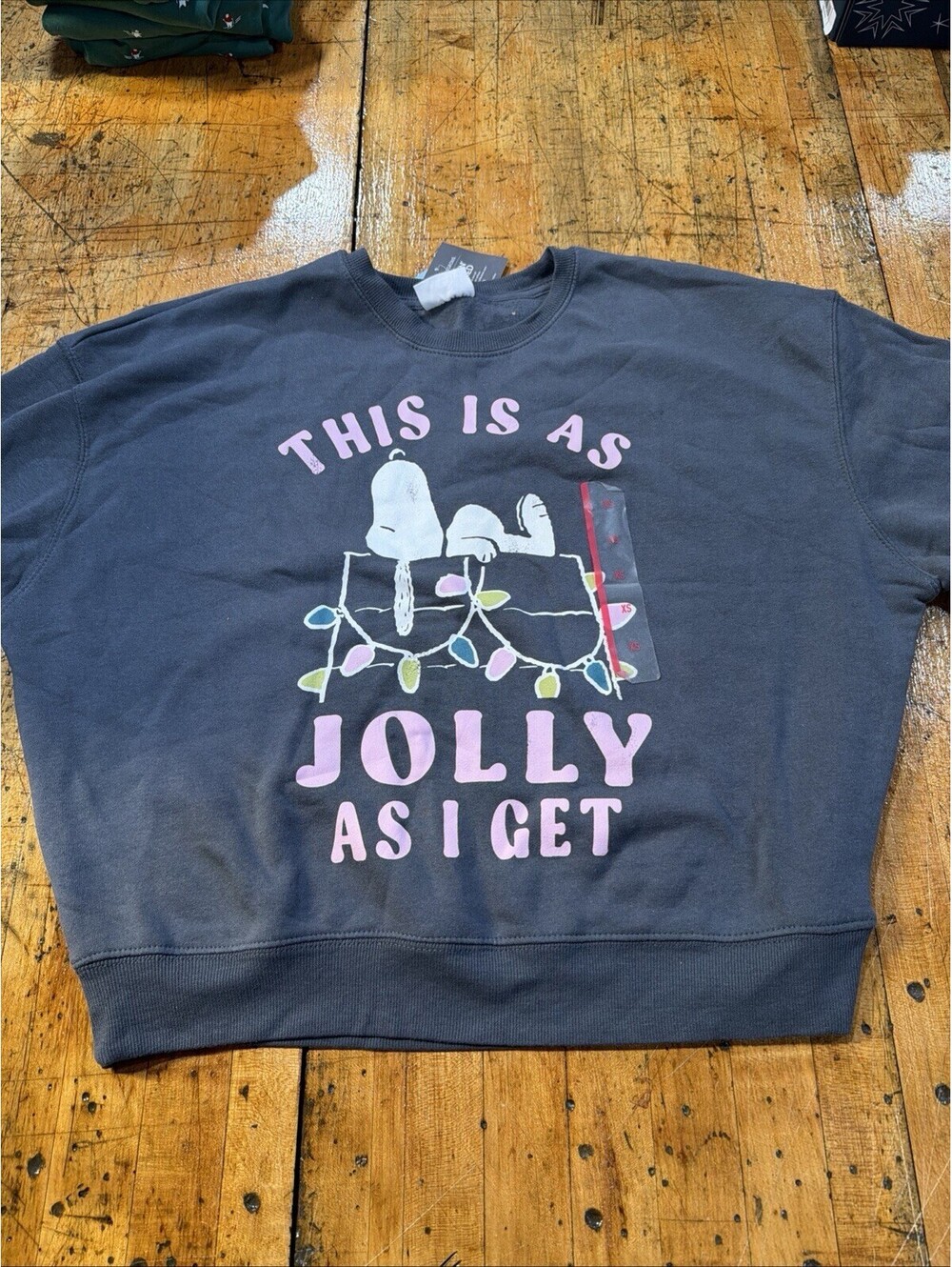 Women's Peanuts Jolly Snoopy Graphic Gray Sweatshirt-NWT Size XS